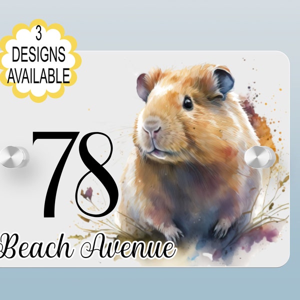 Watercolour guinea pig acrylic House Sign. House number. Personalised house sign. New home gift. Guinea pig House plaque. Garden décor.