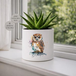 Könnte beinhalten: Ein weißer Keramik-Pflanztopf mit einem Aquarell-Eulen-Design, der eine grüne Sukkulentenpflanze enthält. Die Eule ist braun, weiß und orange mit blauen und violetten Akzenten. Der Text auf dem Topf lautet "Your Text".