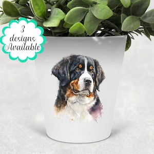 May include: White ceramic plant pot with a watercolour portrait of a Bernese Mountain Dog. The dog has black, brown, and white fur. The pot has the text "3 designs Available" in a teal and white bubble.