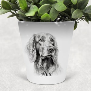 May include: A white ceramic plant pot featuring a detailed pencil sketch of a dog's face. The dog has long, flowing fur and a gentle expression. The name "Ava" is written in cursive at the bottom. Green plant leaves are visible at the top.