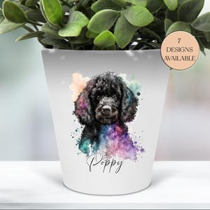 May include: White ceramic planter featuring a watercolor portrait of a black poodle with colorful paint splatters. The name "Poppy" is written below the dog. A circular sticker indicates "7 Designs Available".