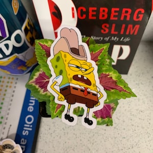 Alright Pin Head Your Time Is Up (SpongeRobert) Vinyl Aufkleber (100% wasserfest)