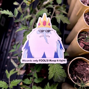 Wizards Only Fools IK AT Meme Vinyl Sticker (100% Waterproof)