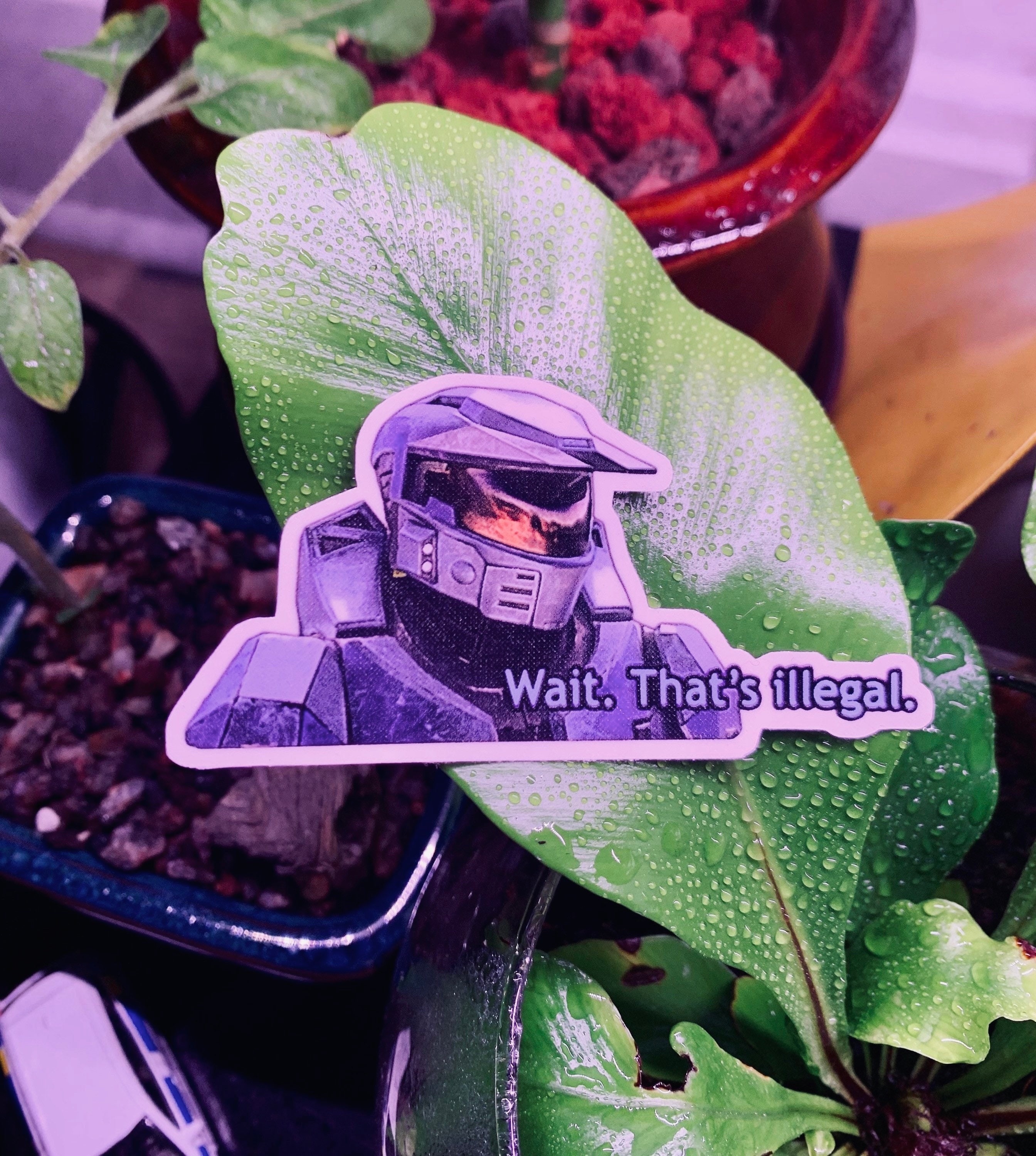 "Rot gegen Blau ""Wait that’s Illegal"" Meme Vinyl Aufkleber (100 % wasserfest)"