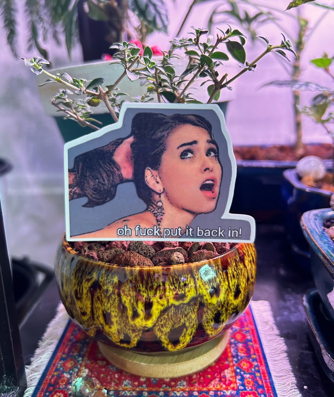 Riley Reid Meme Sticker vinyl and 100 Waterproof Etsy Riley Reid Meme Sticker vinyl and 100 Waterproof Etsy