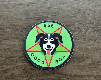 Friendly Border Collie (Pickles) Pentagram Sticker (100% Waterproof)