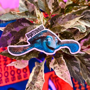 May include: A sticker featuring a blue cartoon turtle with the text "Righteous!!!" on a green and white leafy background.