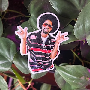 May include: A sticker featuring a colorful illustration of a man with an afro, sunglasses, and a striped shirt. The sticker has a white border and is set against a background of green leaves.