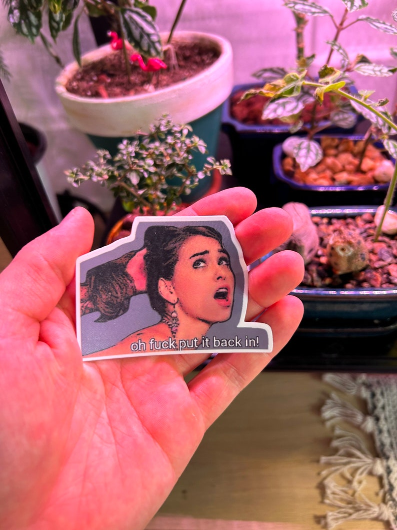 Riley Reid Meme Sticker (vinyl and 100% Waterproof) - Etsy