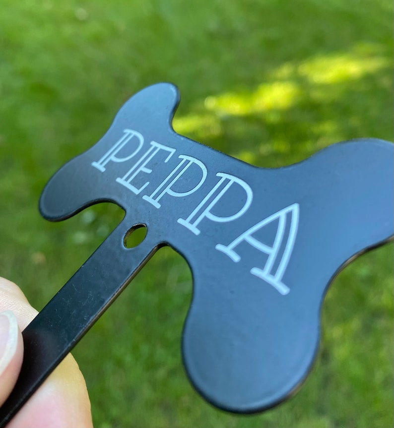 Personalized Dog Leash Hook Custom Cat Harness Hook Gift for Etsy