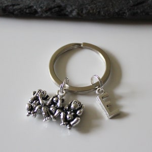 Peut inclure: Porte-clés argenté avec trois singes se couvrant les yeux, les oreilles et la bouche. Le porte-clés a également un charme argenté avec la lettre E.