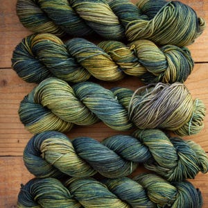 100% Superwash Bluefaced Leicester - DK weight - hand dyed yarn - Ready to Ship