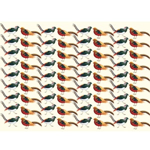 5 Bögen Fabelhafter Fasan Geschenkpapier | 100% recycelt | Geburtstagsgeschenk | Geschenkverpackung | Ökoverpackung | Hergestellt in Großbritannien | Fasan
