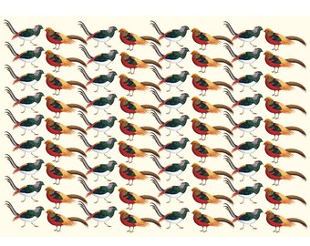 5 sheets of Fabulous Pheasant Wrapping Paper | 100% recycled | Birthday gift | Gift Wrapping | eco wrapping | Made in Britain | Pheasant
