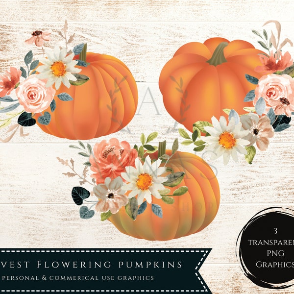 Fall Graphics for Planners, Stickers, Print & Cut, PNG Graphics, Fall Designs, Fall Floral Pumpkins, Autumn Graphics, Printable Stickers