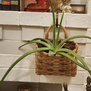 May include: A woven basket planter with a handle, holding a green aloe vera plant. The basket is made of light brown wicker and hangs against a white brick wall. The aloe vera has long, green leaves with white spots.