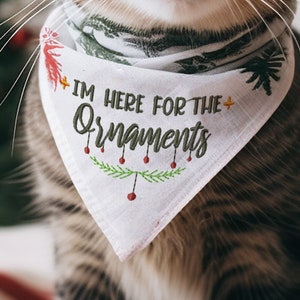 Funny Christmas machine embroidery designs for pet scarf, cute embroidery pattern for cat, dog funny sayings embroidery