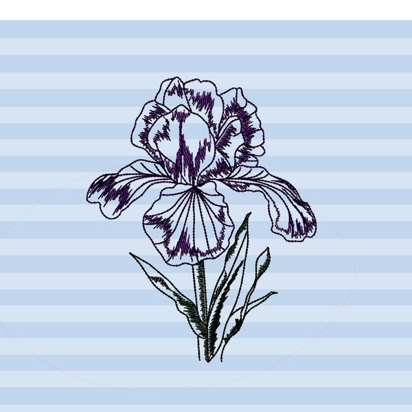 Blue Iris Flower Machine Embroidery Design in Sketch Style for Kitchen Towels, Elegant Embroidery Pattern, Spring Floral Pes Files