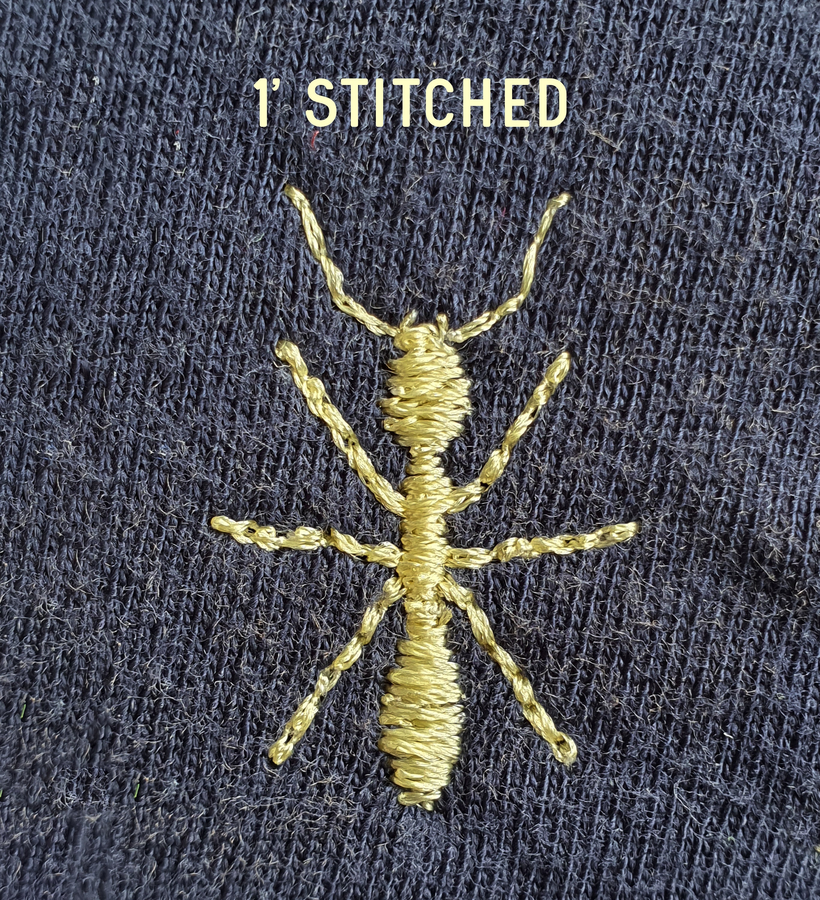 Ant Machine Embroidery Designs: 0.5in - 5in - Etsy