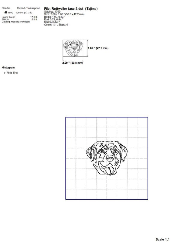 Portrait Rottweiler Dog Con Occhiali Da Sole Sfondo Nero Illustrazione - Foto 5