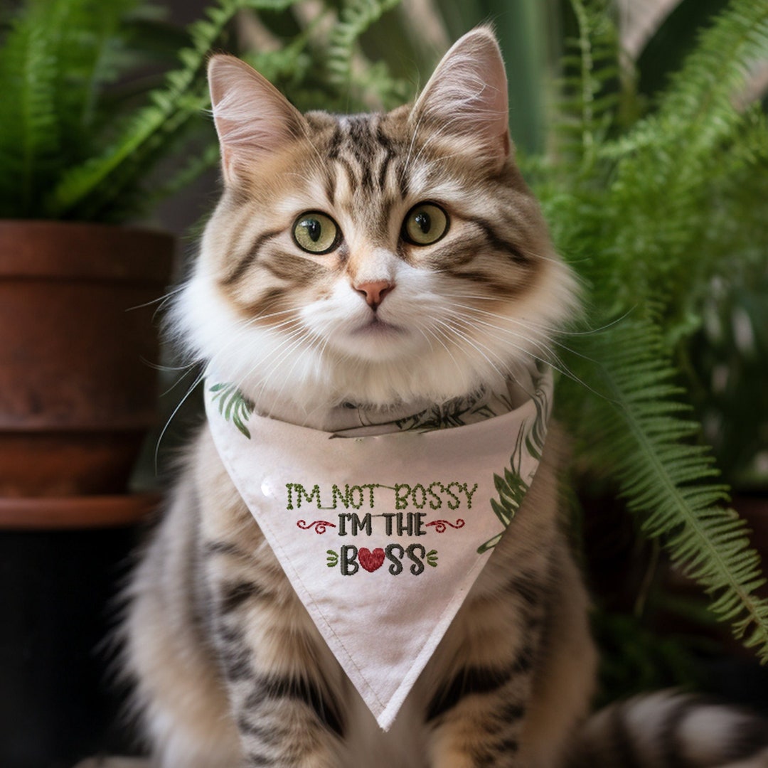 Cute and Funny Machine Embroidery Designs, Boss Cat Embroidery Patterns