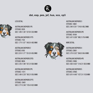 K&ouml;nnte beinhalten: Ein digitales Stickmuster-Datenblatt mit einer Illustration eines Australian Shepherd Hundekopfes in zwei Detailstufen. Der Text enth&auml;lt die Dateiformate dst, exp, pes, jef, hus, xxx, vp3 sowie Stichzahlen und Gr&ouml;&szlig;en von 37,8 x 33,0 mm bis 127,2 x 113,8 mm.
