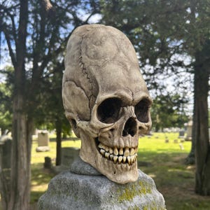 Elongated Skull Replica - Life-size original oddity skull sculpture