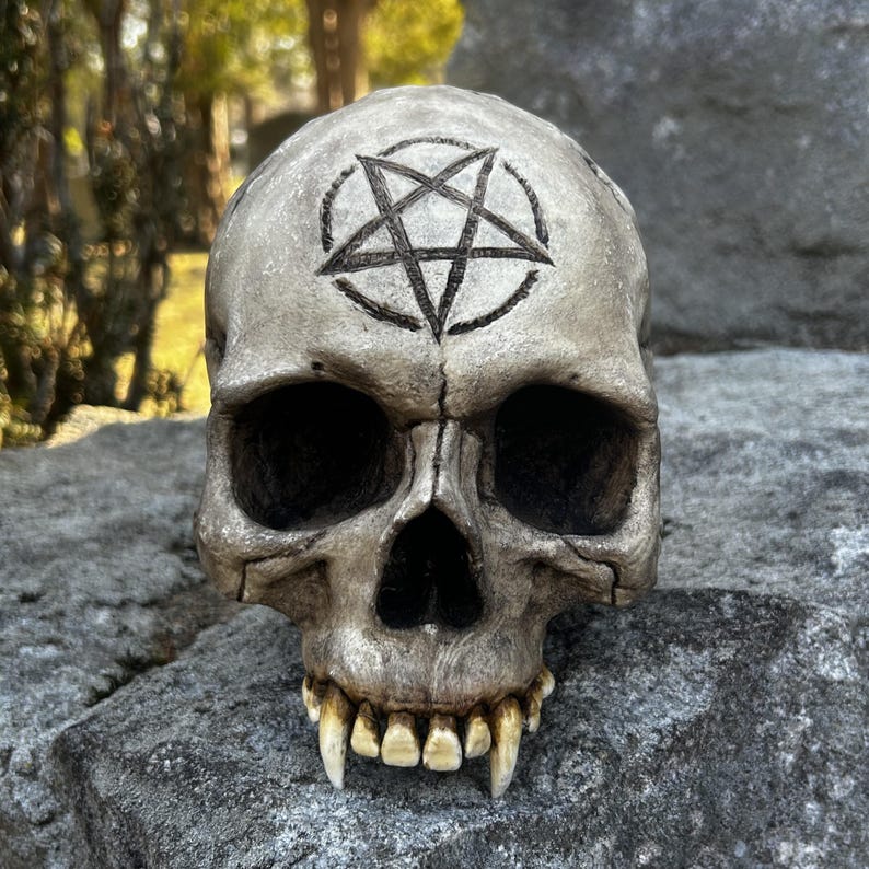 Pentacle/pentagram Engraved Life-sized Vampire Skull / Wunderkammer ...