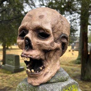 One-of-a-Kind Realistic Mummified Head: Gothic Wunderkammer Corpse Decor