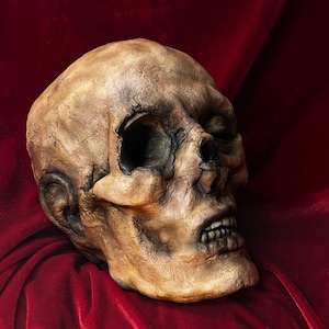 Mummified Head with Exposed Skull / One-of-a-Kind Oracular Wunderkammer Corpse Head / Gothic Decor