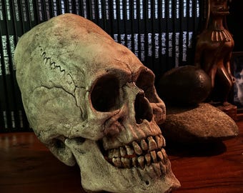 ゼノモーフ・エイリアン・スカル・トロフィー / 珍品 / 珍品