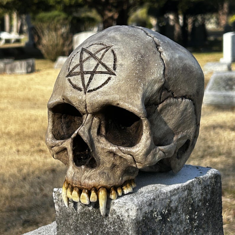 Pentacle/pentagram Engraved Life-sized Vampire Skull / Wunderkammer ...
