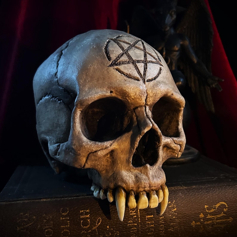 Pentacle/pentagram Engraved Life-sized Vampire Skull / Wunderkammer ...