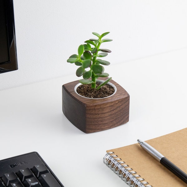 Wooden mini succulent planter for smaller plants and cacti, planter pot, plant holder