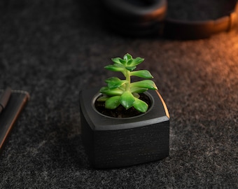 SELLING OUT - Limited stock - Wooden mini succulent planter pot for smaller plants and cacti