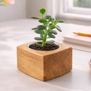 ¡AGOTADO! - 40% DE DESCUENTO - Stock limitado - Maceta de madera mini para suculentas, ideal para plantas pequeñas y cactus.