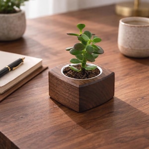 SELLING OUT - 40% SALE - Begrenzte Verfügbarkeit - Mini Sukkulenten Pflanztopf für kleinere Pflanzen und Kakteen