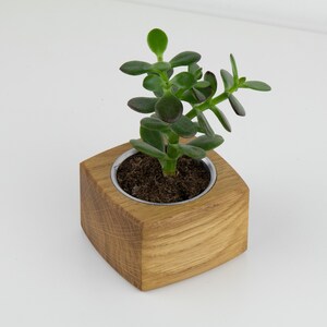 Mini Sukkulenten Übertopf aus Holz für kleinere Pflanzen und Kakteen, Pflanztopf, Pflanzenhalter
