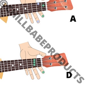 Easy to Read Ukulele Chords for Beginners