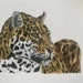 see more listings in the Wildlife Pieces section