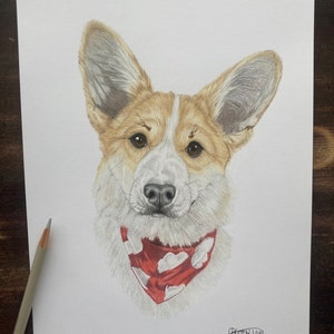 Hand drawn Pet Portrait image 8