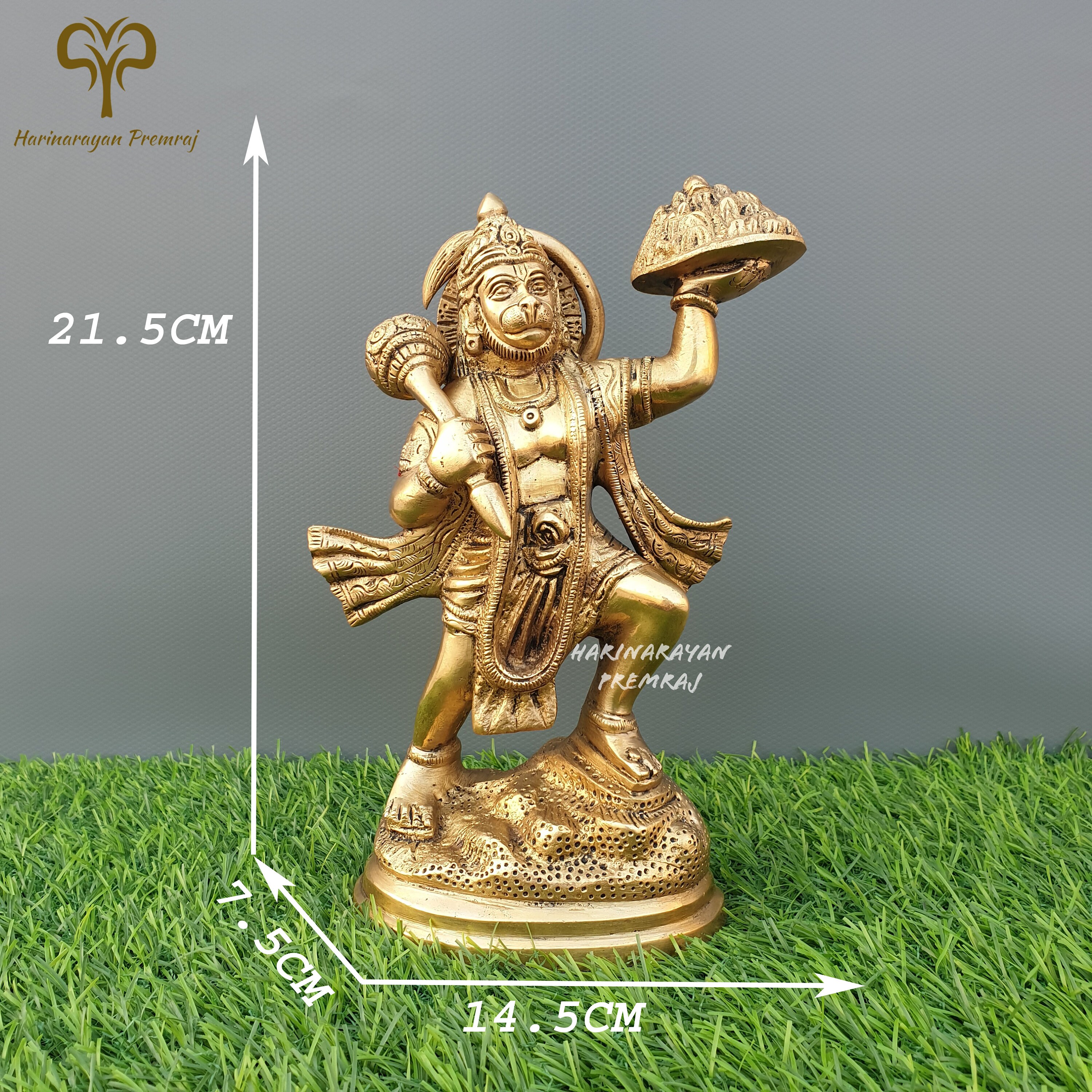 Brass Hanuman Statues Brass Hanuman Statues