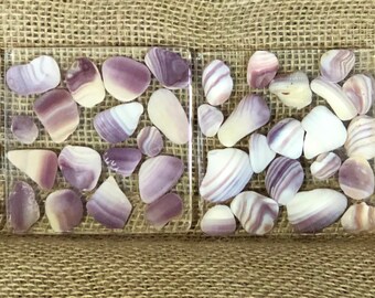 Set of 4 OBX shell Coasters