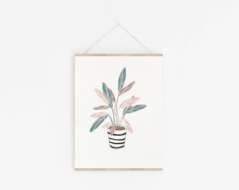 Stromanthe House Plant Print - 8"x10" Unframed