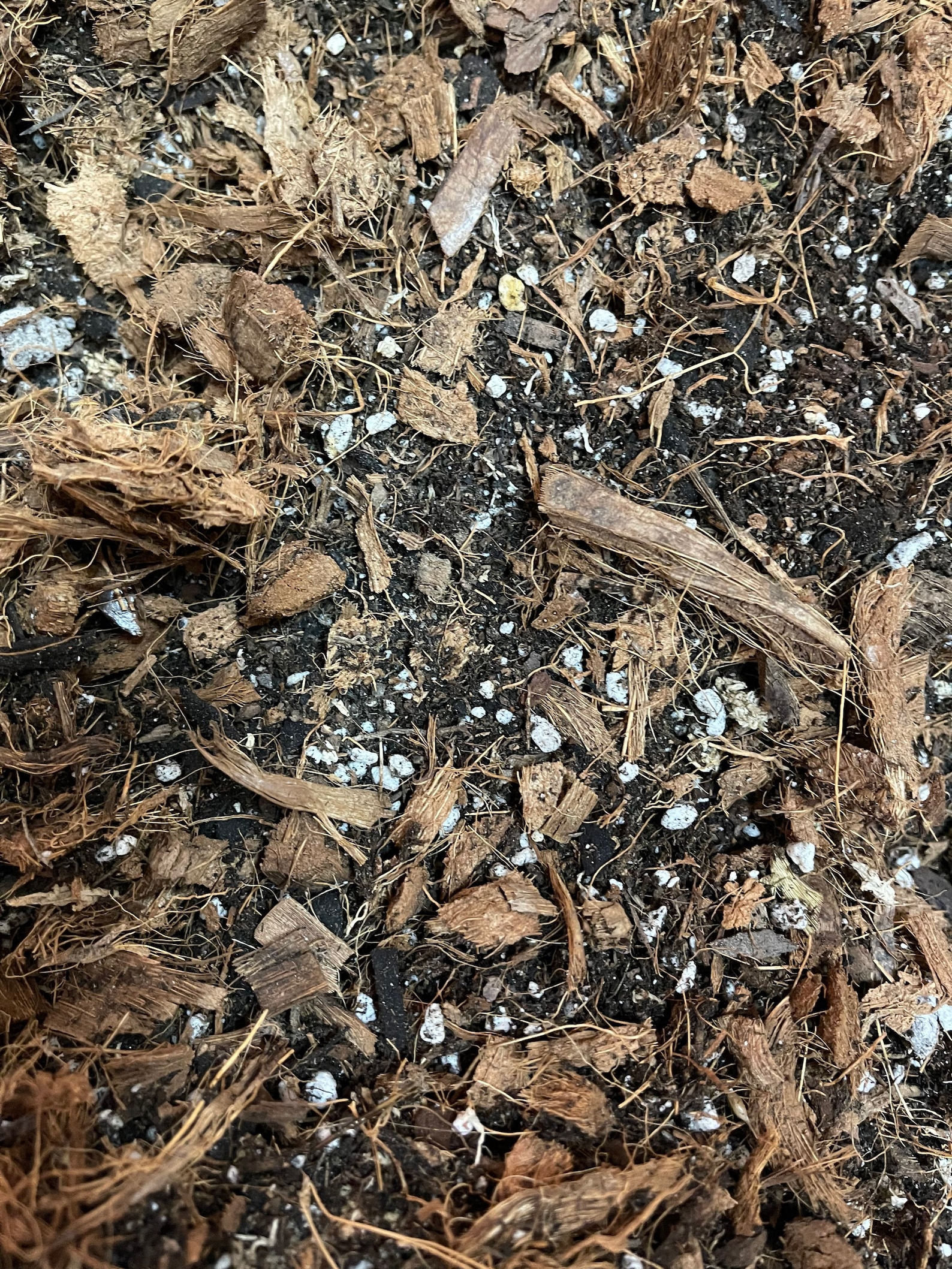 A Premium Top Quality Aroid Soil Mix Chunky Well Draining Etsy