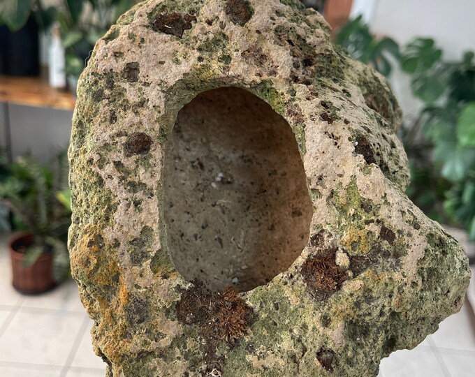 Natural Stone Bonsai Pot Pumice Rock Bonsai Pot Bonsai Etsy