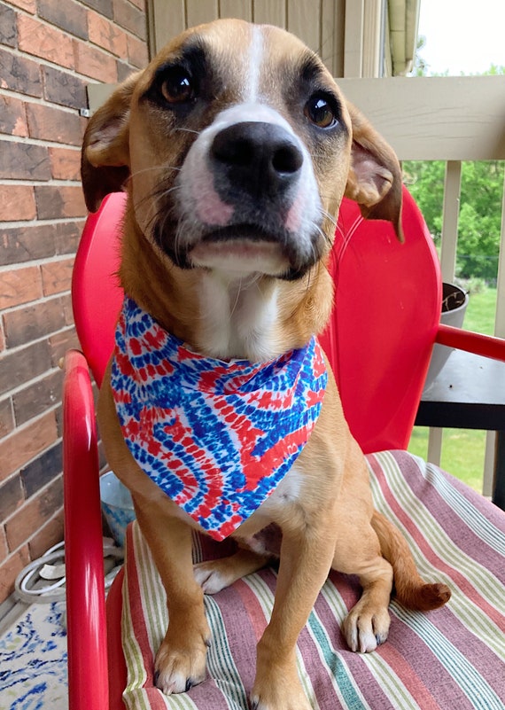 Reversible 4th of July Dog Bandana: Patriotic Over-the-collar Pet