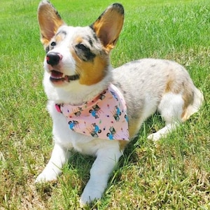 Sloth Pet Bandana: Reversible Over-the-Collar Dog Cat Bandana
