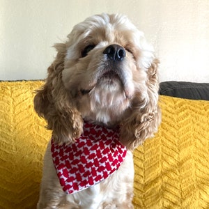 May include: A light-colored Cocker Spaniel dog wearing a red and white patterned bandana. The dog is sitting on a yellow textured surface, with a neutral background. The dog's fur is a mix of light brown and white.