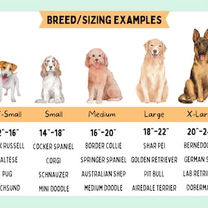 May include: A chart with watercolor illustrations of dogs, including a Jack Russell, Cocker Spaniel, and Golden Retriever. The chart lists breed examples and sizing in inches, ranging from X-Small (12-16") to X-Large (20-24").